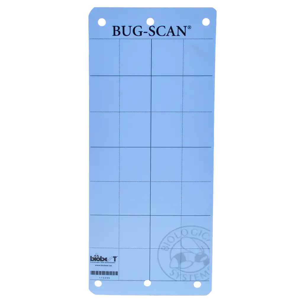Bug-Scan Blue (10 cm x 25 cm)